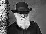 ¿Quien es darwin?
