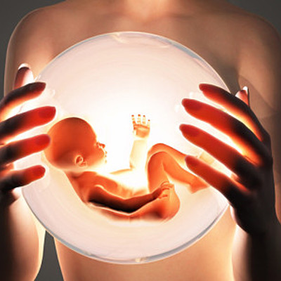 Timeline: Desarrollo Embrionario