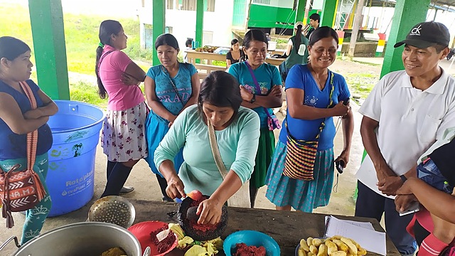 Formación mensajeras, Evaluación proyecto