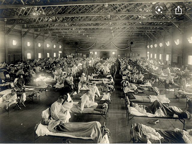 Influenza (flu) epidemic