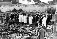 Sucesos de Casas Viejas