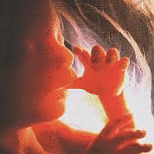 DE LA CONCEPCIÓN AL NACIMIENTO