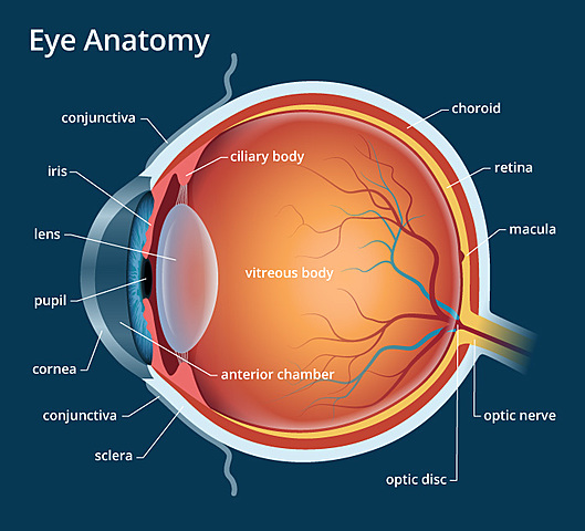 Eugene fixes his eye problem