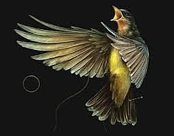 Freedom of the Oppressed