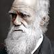 Charles darwin