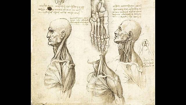 REALISMO CIENTÍFICO Y FILOSOFÍA EXACTA