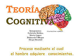 La Teoría Cognitiva