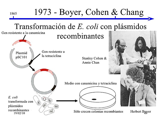 1973 Primer Organismo Transgenico