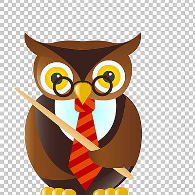 Timeline: Teacher development