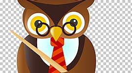 Timeline: Teacher development