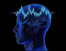 Ward 2002 – Parisí 2007