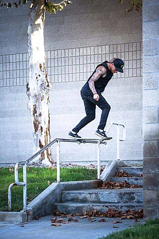 The consolidation of skate