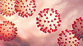 Timeline: EL COVID19