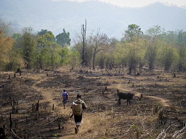 West African Village Farming