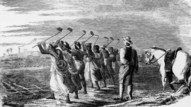 Slavery is abolished in the british empire.