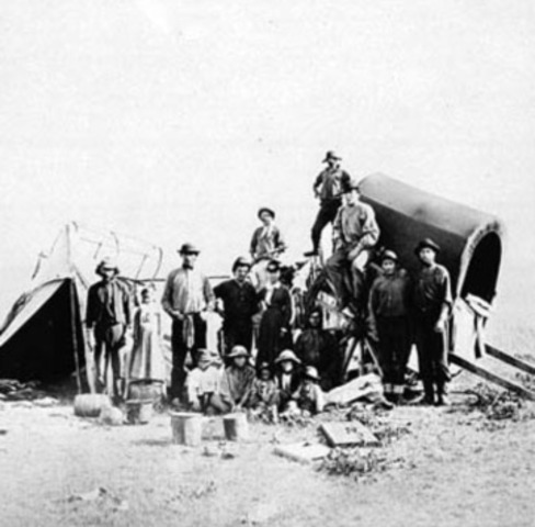 Metis charged with illegal trading