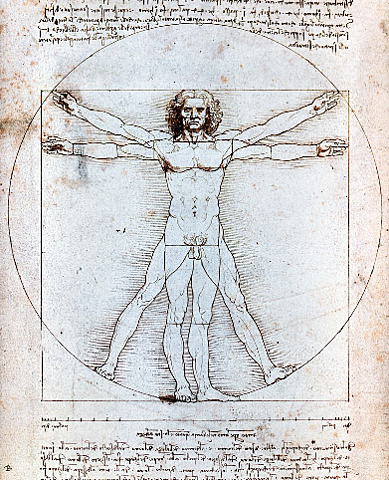 Hombre de Vitruvio - Leonardo Da Vinci