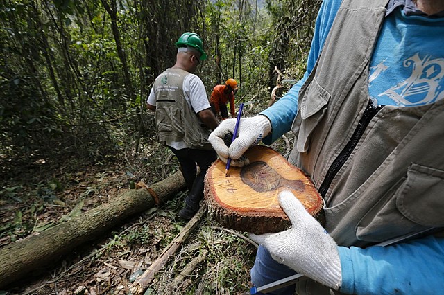 Congresso Internacional da UNESCO-PNUMA sobre Educação e Formação Ambiental