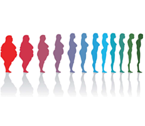 Transicion Alimentaria