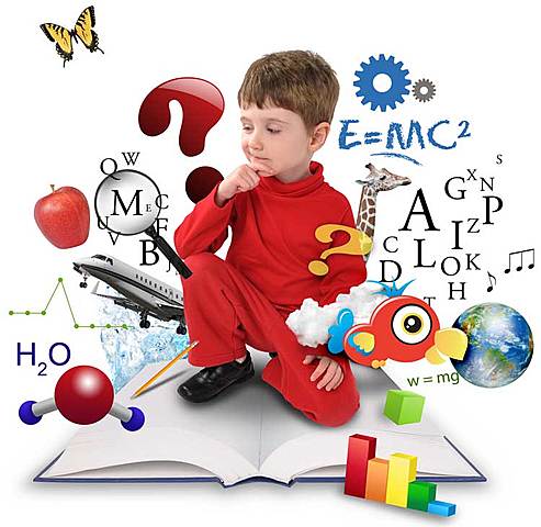 Desarrollo Cognitivo