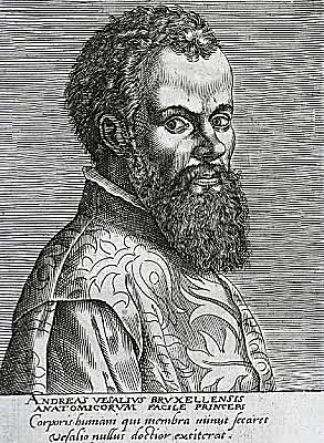 Vesalio. publica humanis corporis