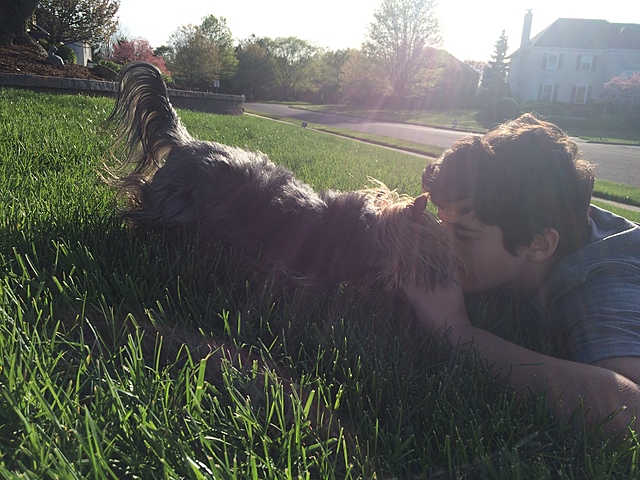 Algo Peqeno Entro A Nuestras Vida