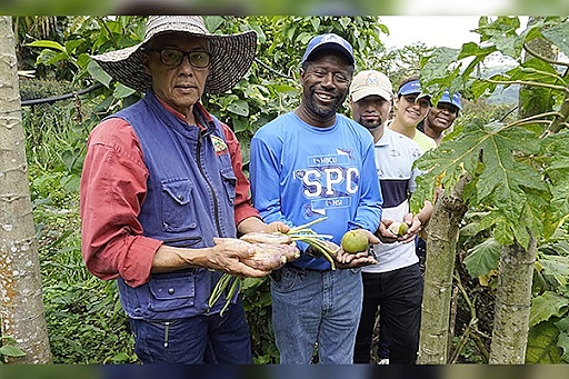 Cambios en la educación universitaria