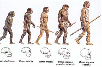 HOMO SAPIENS SAPIENS