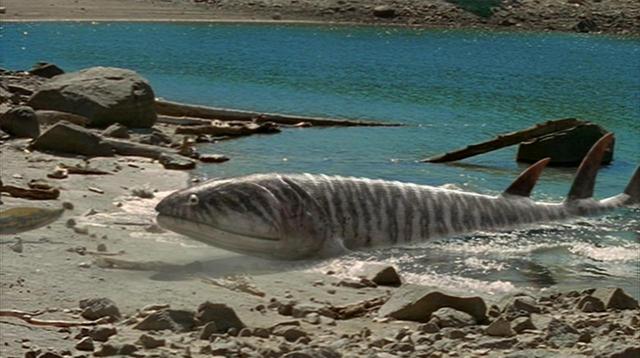 Lobe Finned Fish Form