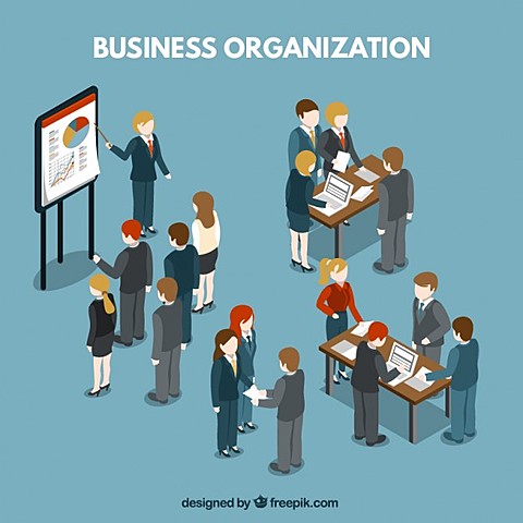 Organización elegida