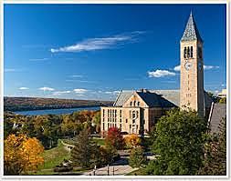 cornell university