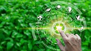 sin contaminación por plástico