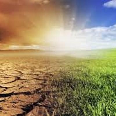 Timeline: medio ambiente