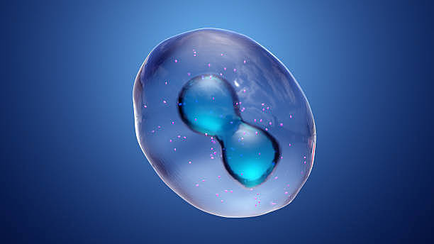 J. E. Purkinge y H. van Mohl,