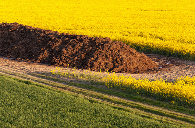 Manure as Fertilizer