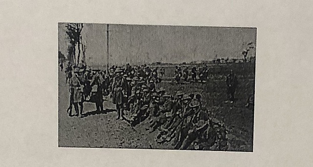 First Federal Language Law