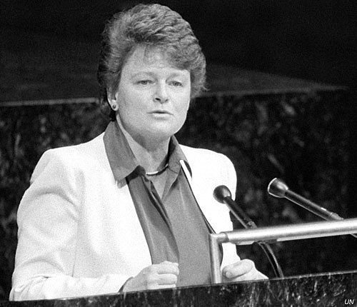 Se da el informe Brundtland
