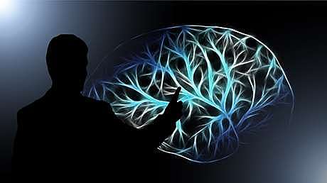 ¿Qué es la filosofía?