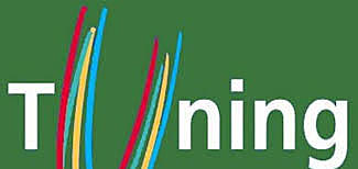 Documento Tuning Educational Structures in Europe