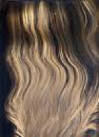 Dissolution of Whig party