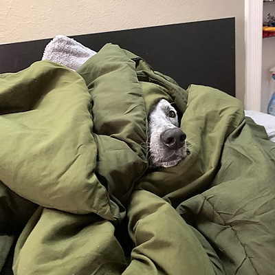 Timeline: My Personal Timeline Doyle