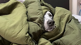 Timeline: My Personal Timeline Doyle