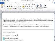 Word Processors