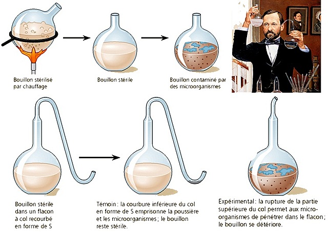 Experiment de Pasteur