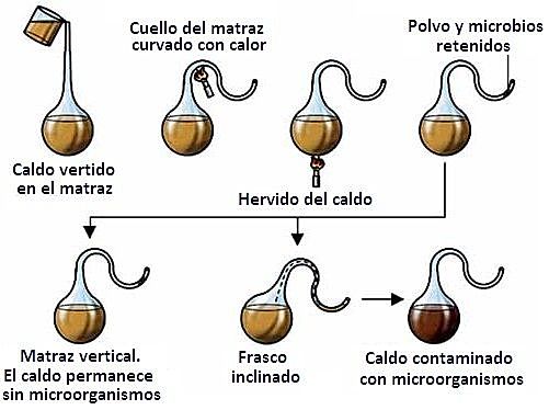 Experiment de Pasteur