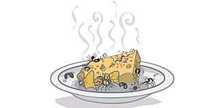 Generació espontània