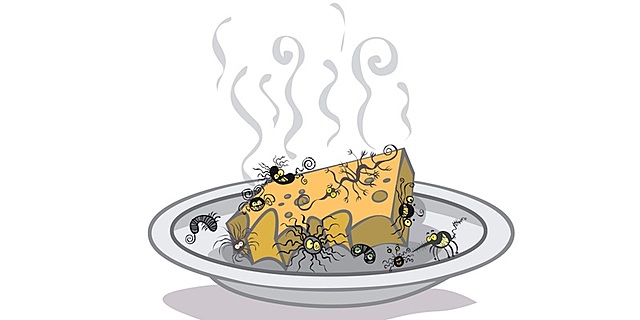 Generació Espontania