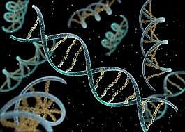 Hipótesi del ARN primitiu