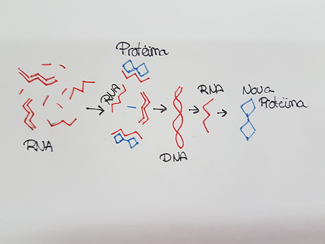Món RNA