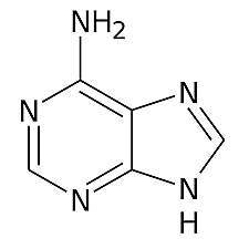 Experiment de Joan Oró